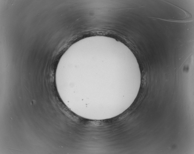 X0000112140713200908281317