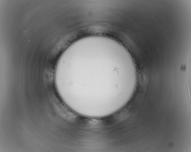 X0000112140718200908281317