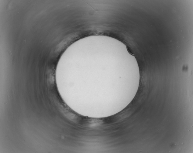 X0000112140719200908281317