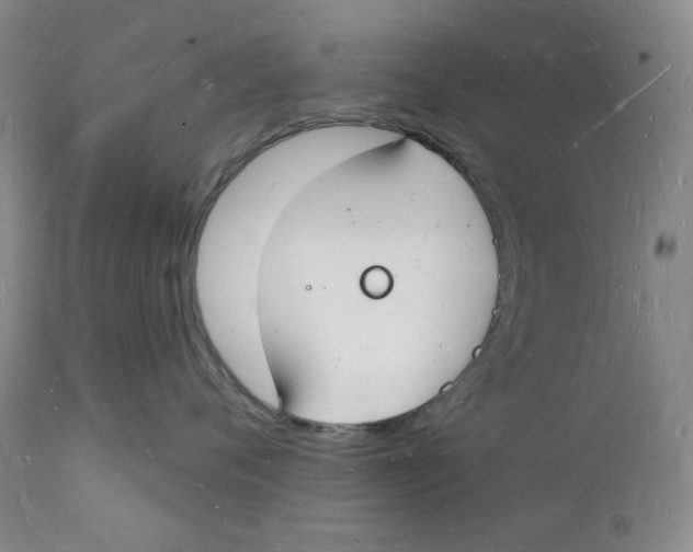 X0000112140720200908281317