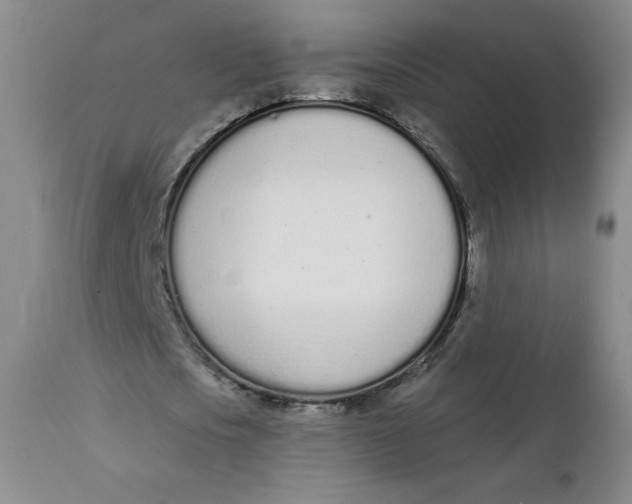 X0000112140721200908281316