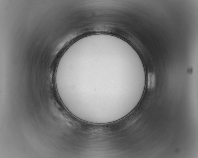 X0000112140723200908281316