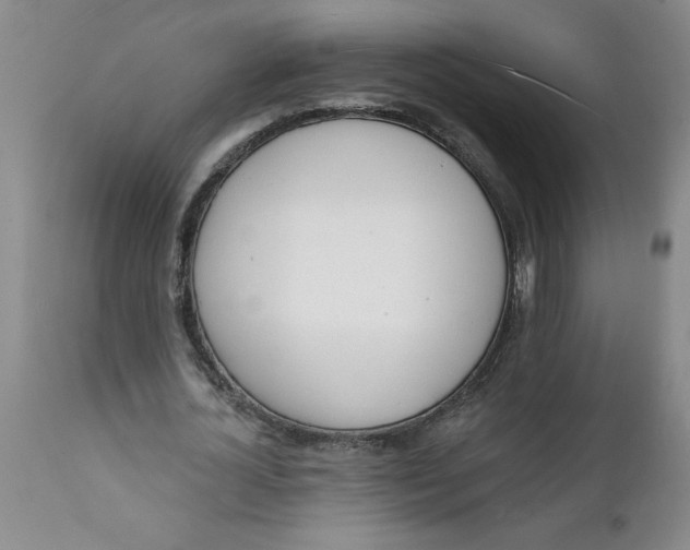 X0000112140724200908281316