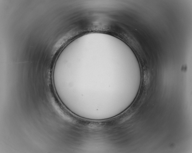 X0000112140725200908281316