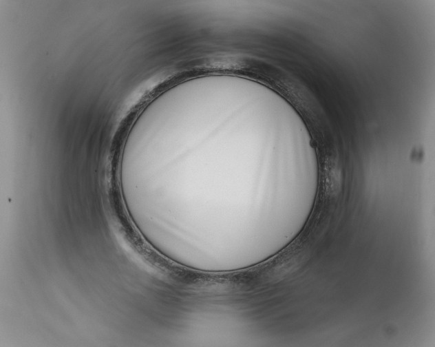 X0000112140726200908281316