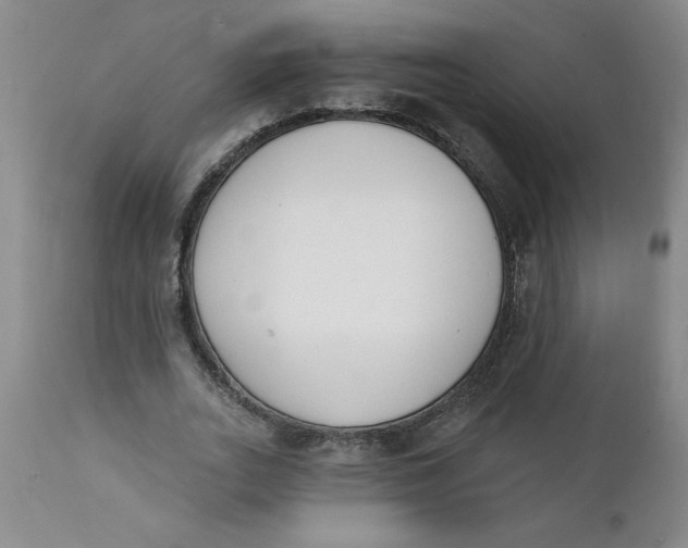 X0000112140727200908281316