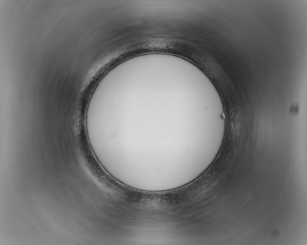 X0000112140728200908281316