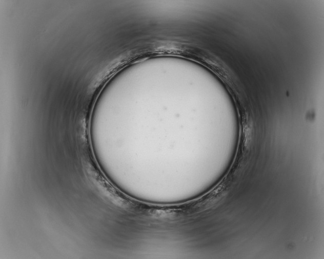 X0000112140729200908281316