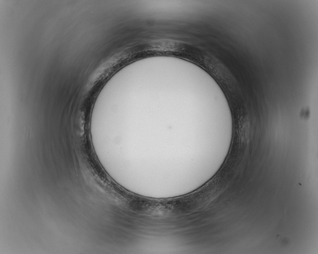 X0000112140731200908281316