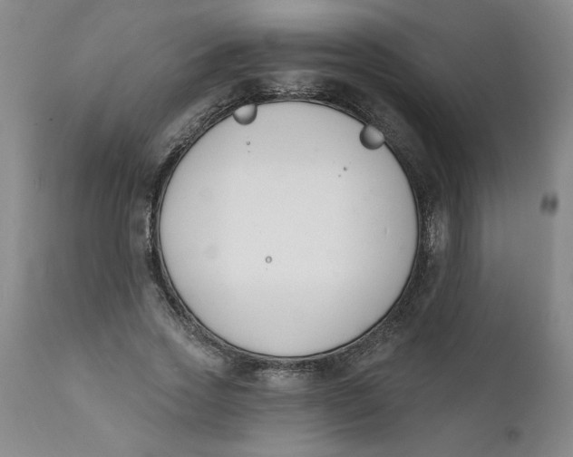 X0000112140733200908281316