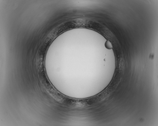 X0000112140737200908281316