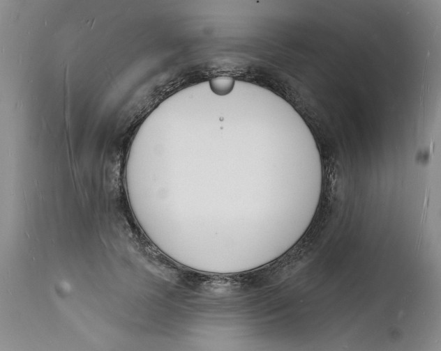 X0000112140745200908281316