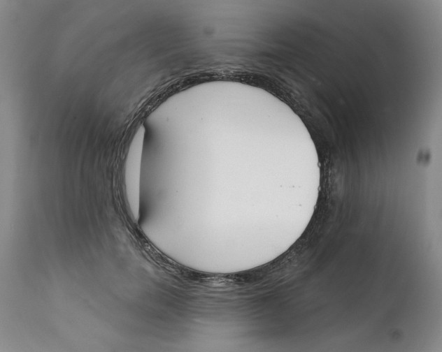 X0000112140750200908281316