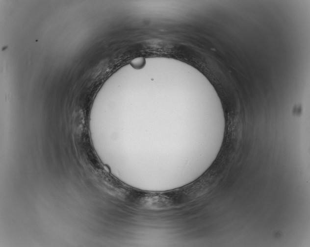 X0000112140752200908281316