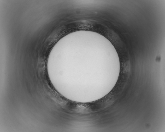 X0000112140753200908281316