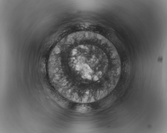 X0000112140754200908281316