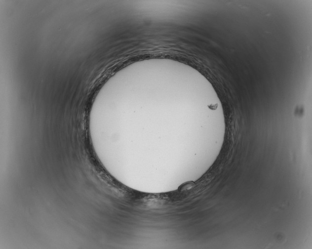 X0000112140756200908281316