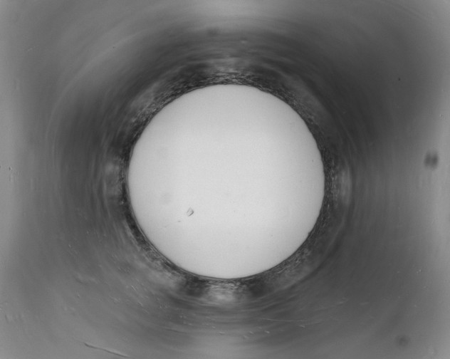 X0000112140757200908281316