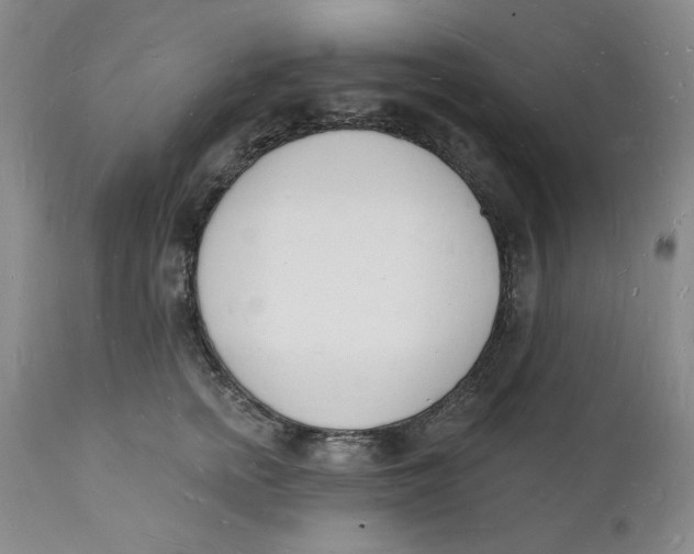 X0000112140758200908281316