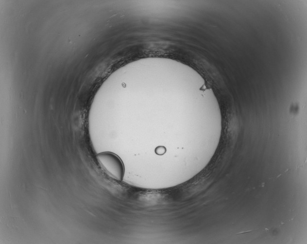 X0000112140759200908281316