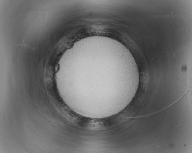 X0000112140760200908281316