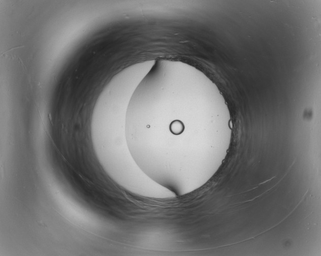 X0000112140764200908281317