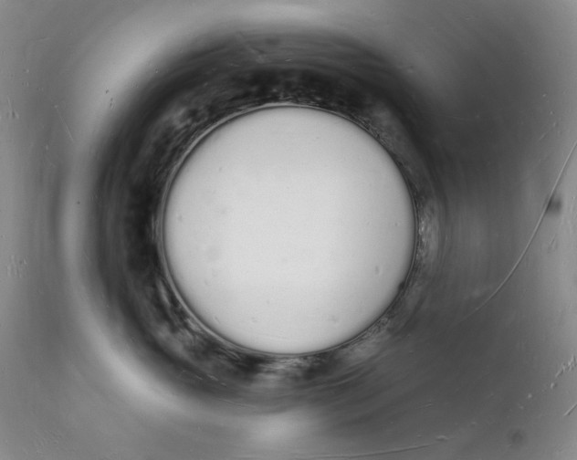 X0000112140765200908281317