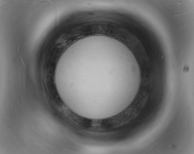 X0000112140766200908281317