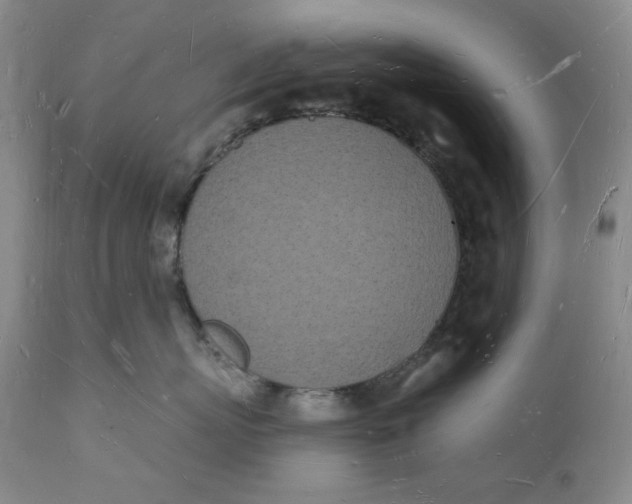 X0000112140767200908281317