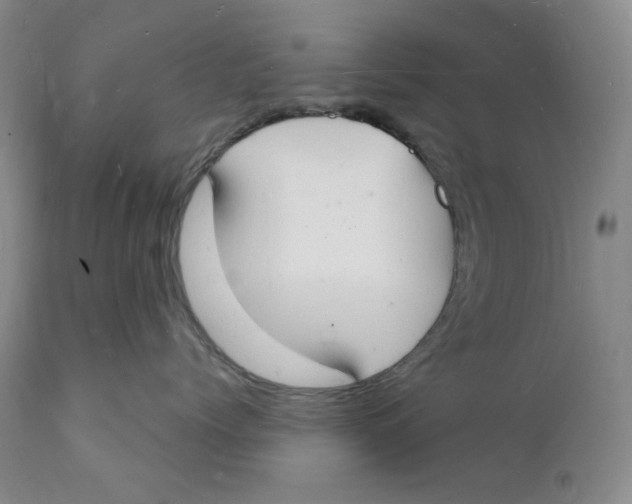 X0000112140768200908281317