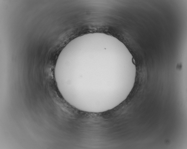 X0000112140770200908281316