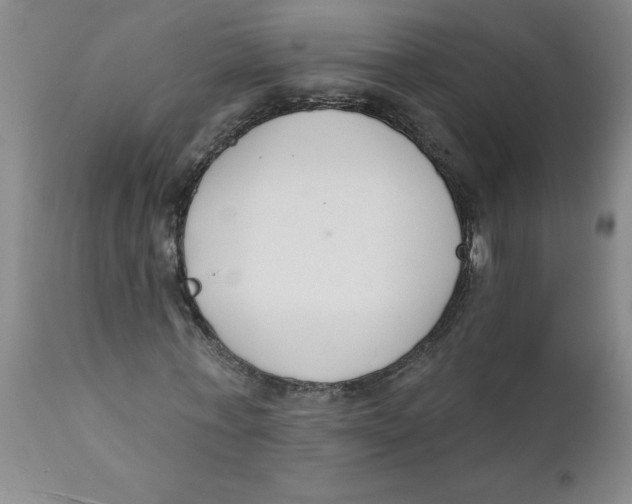 X0000112140771200908281316