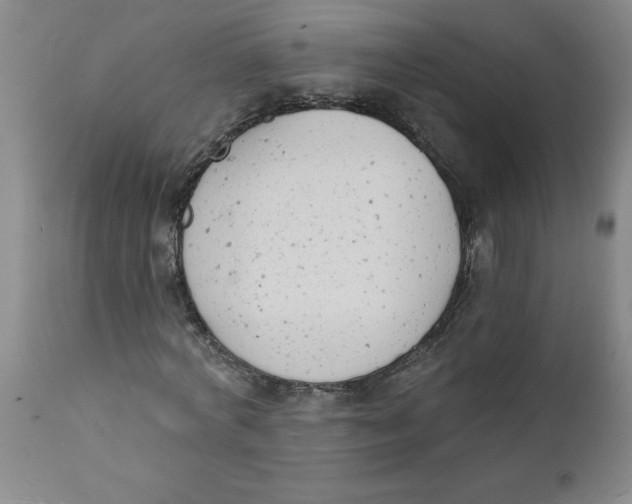 X0000112140772200908281316