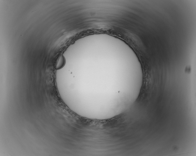 X0000112140773200908281316