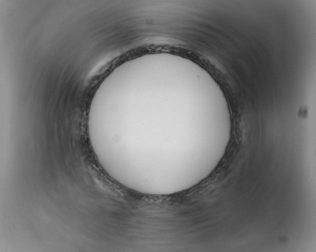 X0000112140775200908281316