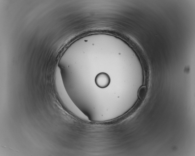 X0000112140777200908281316