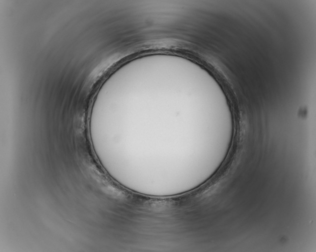 X0000112140778200908281316