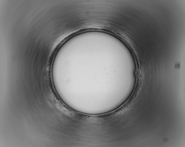 X0000112140779200908281316