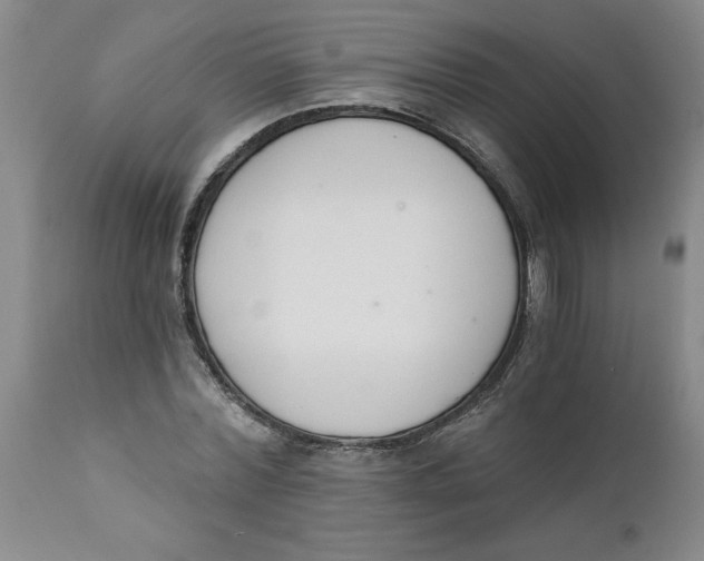 X0000112140780200908281316