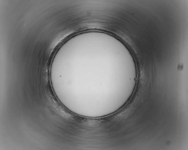 X0000112140782200908281316