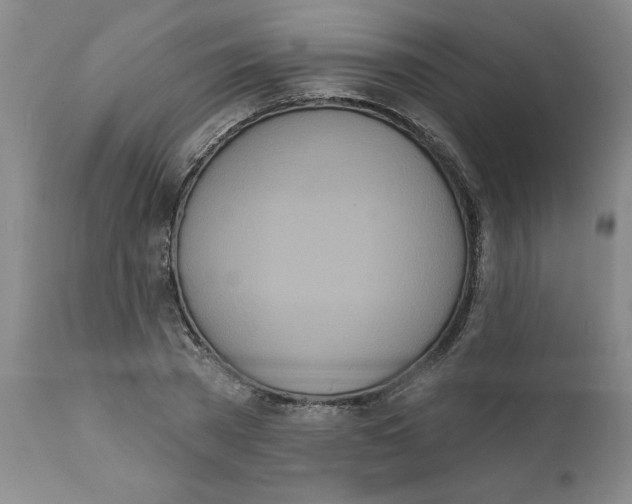 X0000112140785200908281316