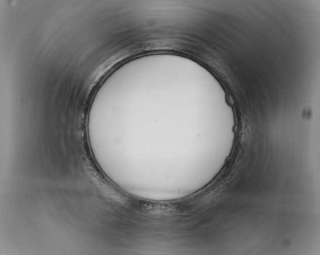 X0000112140786200908281316