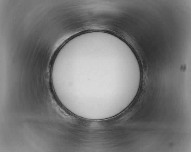 X0000112140787200908281316