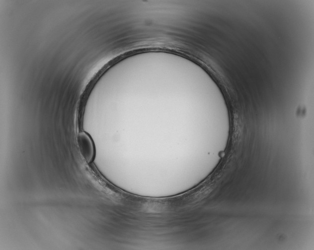 X0000112140788200908281316