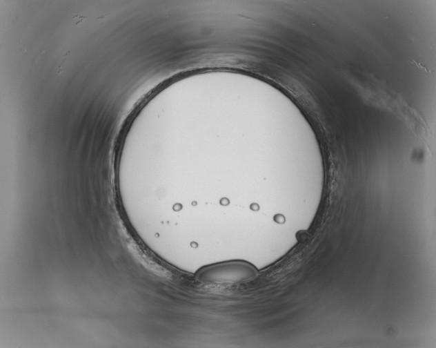 X0000112140792200908281316