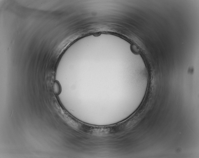 X0000112140793200908281316