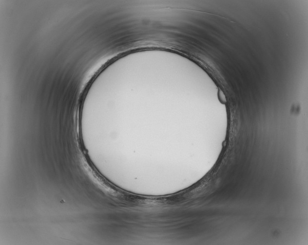 X0000112140796200908281316