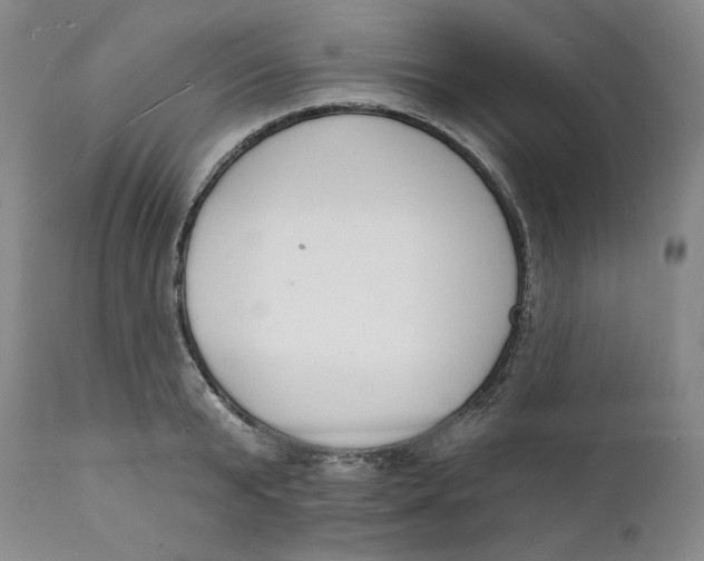 X0000112140799200908281315