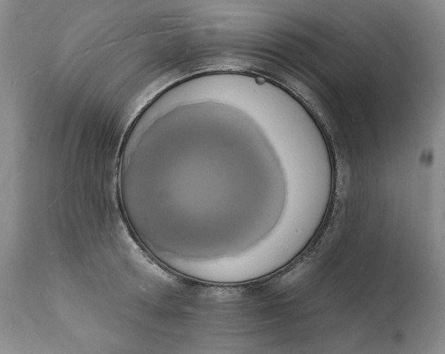 X0000112140802200908281315