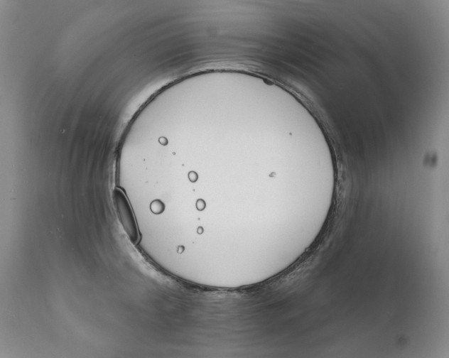 X0000112140804200908281315